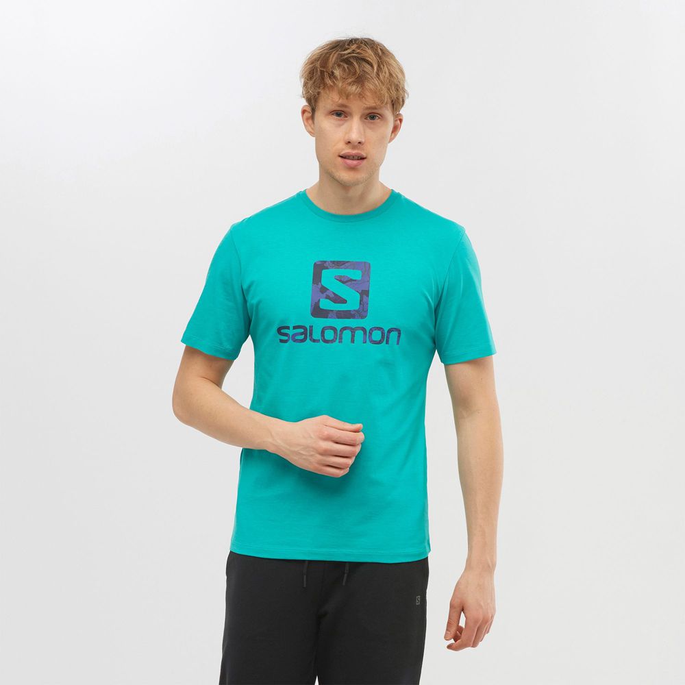 Camisetas Salomon Hombre Verde Menta - Salomon Argentina OUTLIFE LOGO,356402-HBY